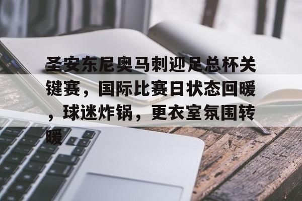 九游网页官网-圣安东尼奥马刺迎足总杯关键赛，国际比赛日状态回暖，球迷炸锅，更衣室氛围转暖的简单介绍